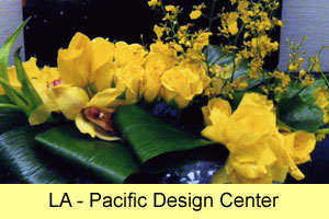 LA - Pacific Design Center Event